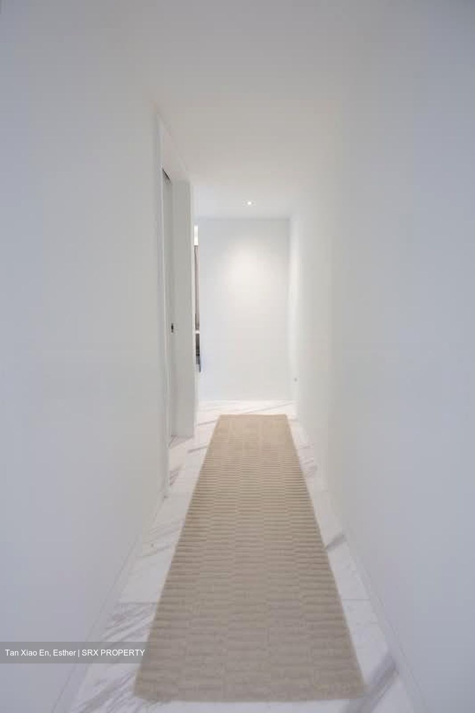 Wallich Residence  (D2), Condominium #558403501